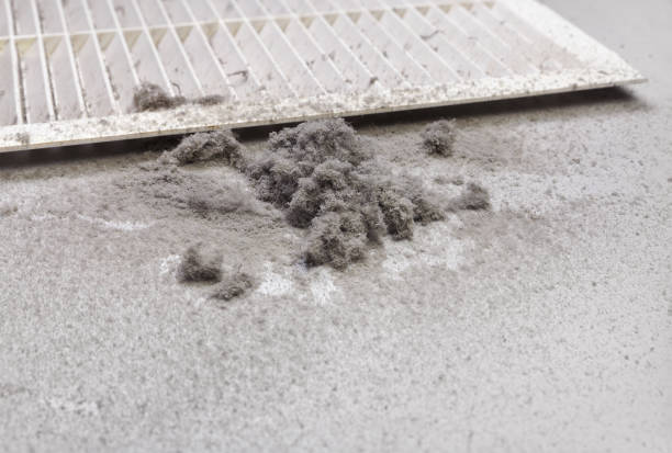 Best Best Air Duct Cleaning Company  in Universal City, TX