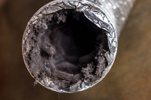 Best HVAC System Cleaning  in Universal City, TX