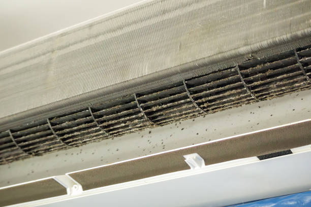 Best Affordable Air Duct Cleaning  in Universal City, TX
