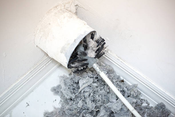 Best Home Air Vent Cleaning  in Universal City, TX